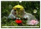 Thumbnail-8