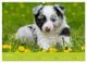 Thumbnail-10