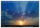 Thumbnail-9