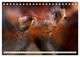 Thumbnail-13