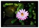 Thumbnail-13