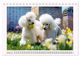 Thumbnail-12