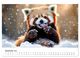 Thumbnail-13