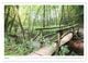 Thumbnail-12