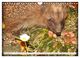 Thumbnail-13