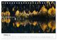Thumbnail-9