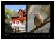Thumbnail-9