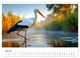Thumbnail-11