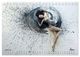 Thumbnail-12