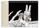 Thumbnail-10