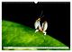 Thumbnail-9