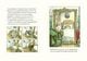 Thumbnail-2