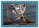Thumbnail-9