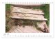 Thumbnail-11
