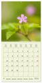 Thumbnail-11