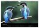 Thumbnail-10