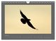 Thumbnail-9
