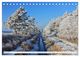 Thumbnail-14