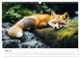 Thumbnail-10