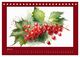Thumbnail-9