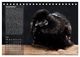 Thumbnail-12