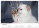 Thumbnail-9