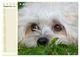 Thumbnail-14