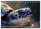 Thumbnail-12