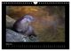 Thumbnail-9