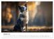 Thumbnail-12