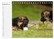 Thumbnail-14