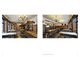 Thumbnail-11