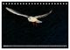 Thumbnail-8