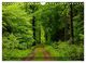 Thumbnail-8