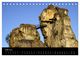 Thumbnail-8