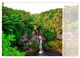 Thumbnail-10