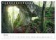 Thumbnail-12