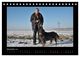Thumbnail-14