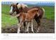 Thumbnail-10