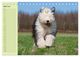 Thumbnail-9