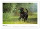 Thumbnail-12