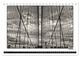 Thumbnail-12