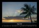Thumbnail-12