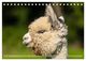 Thumbnail-9