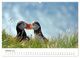 Thumbnail-11