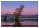 Thumbnail-12