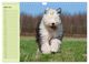 Thumbnail-9