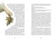 Thumbnail-13