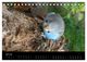 Thumbnail-12