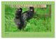 Thumbnail-12